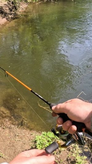 🐟Заставил рыбу клюнуть🐟 Сезон 2026! Рыбалка Сахалин  #Сахалин #рыбалка #сима #лосось