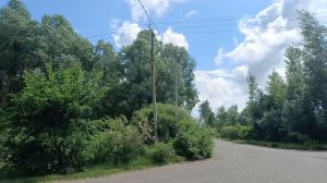 Июнь. Прогулка. Лес.