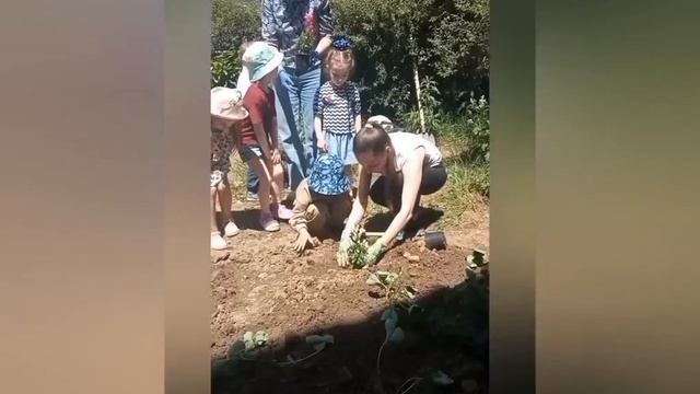 "Детский сад и семья - партнёры"