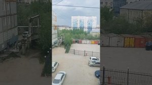 Ветеринар, что говорила по поводу котиков 😊