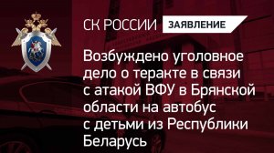 Возбуждено уголовное дело о теракте в связи с атакой ВФУ в Брянской области на автобус с детьми