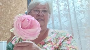 17-06-2026 Мучаемся от жары.Спасаю капусту. Ставлю квас.