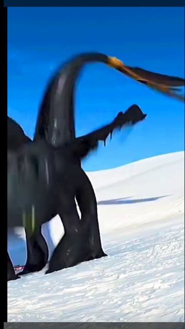 Надо поле притоптать😂