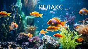 Успокаивающая музыка Релакс  для снятия стресса - 215 минут релаксации.