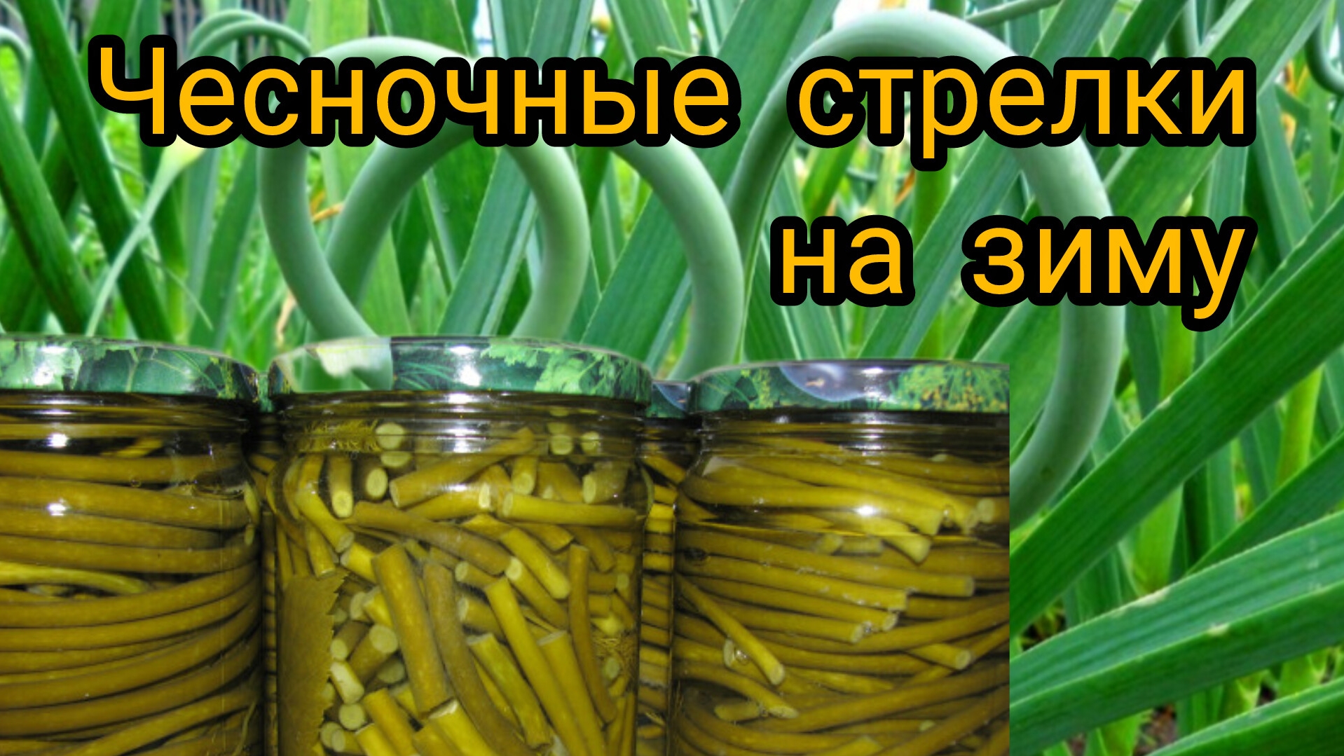 ЧЕСНОЧНЫЕ СТРЕЛКИ 🧄 НА ЗИМУ. ПРОВЕРЕННЫЙ РЕЦЕПТ, РЕКОМЕНДУЮ 👍