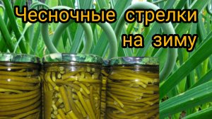 ЧЕСНОЧНЫЕ СТРЕЛКИ 🧄 НА ЗИМУ. ПРОВЕРЕННЫЙ РЕЦЕПТ, РЕКОМЕНДУЮ 👍