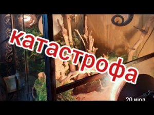 КАТАСТРОФА.ВЗОРВАЛАСЬ ЛАМПА ОБОГРЕВА.