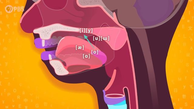 9. Phonetics - Vowels: Crash Course Linguistics смотреть онлайн