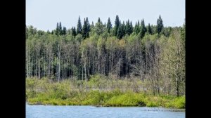 Озеро, отвалы Черниговского разреза