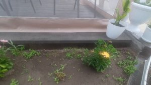 ✅️ Наша природа, жарки. Дачные выходные. Ревизия продуктов, меню 🥘🥗 «Чекупила», находки для дома