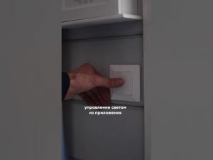 Добавьте голосовое управление светом меньше чем за день с HiTE PRO #shorts