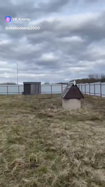 clip108714427_456241422 смотреть онлайн