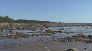 Белое море. Отлив.