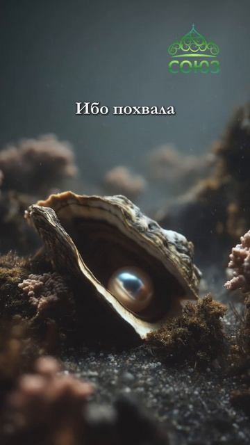 Когда добро теряет силу смотреть онлайн