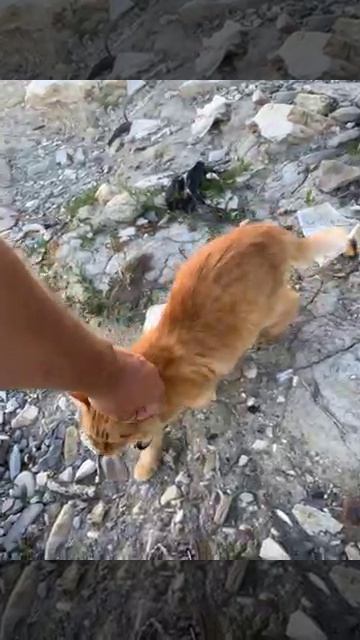 Стоим лагерем на море