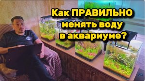 Как ПРАВИЛЬНО менять воду в аквариуме? Раз в неделю или только долив?