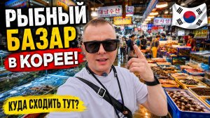 РЫБНЫЙ БАЗАР в КОРЕЕ! Изучаем НОВЫЙ город!