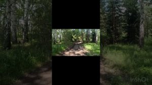 Мото-прогулка