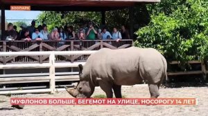 Ростов сегодня: вечерний выпуск. 17 июня 2026