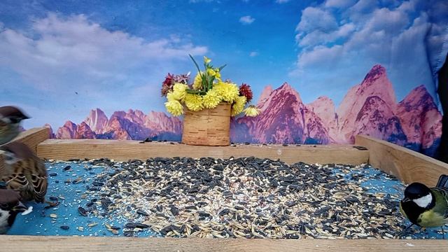 Наблюдаем за Птичками на кормушке смотреть онлайн