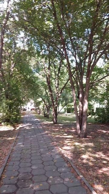 У нас изнуряющая жара +30°С уже какую неделю 🌞