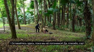 109ч.Смелая спасательная операция, проведенная полицейским Тоаном, шанс спасти жизнь матери-одиночки