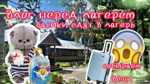 вечер с басиками😱 СОБИРАЕМ ВЕЩИ В ЛАГЕРЬ 🏕️ БАСИКИ ВЛОГ ВЕЧЕР