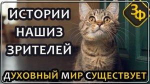 328 Как ни крути, а духовный мир всё-таки существует | Истории зрителей нашего канала