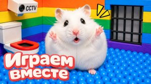 ХОМЯК ВЫБИРАЕТСЯ ИЗ СЕКРЕТНОЙ ХОМЯЧЕЙ ТЮРЬМЫ ! Забавные животные ! Супер лабиринт для хомяка №24