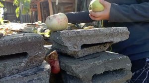 Тест пневматического пистолета иж 53м.