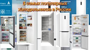 5 самых популярных холодильников в России