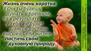 Молитва за мир во всем мире! Live 17.06.2026