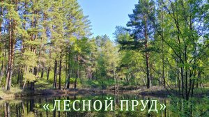«Лесной пруд»  #ондатра #бурундук #звуки #птицы #релакс #природа