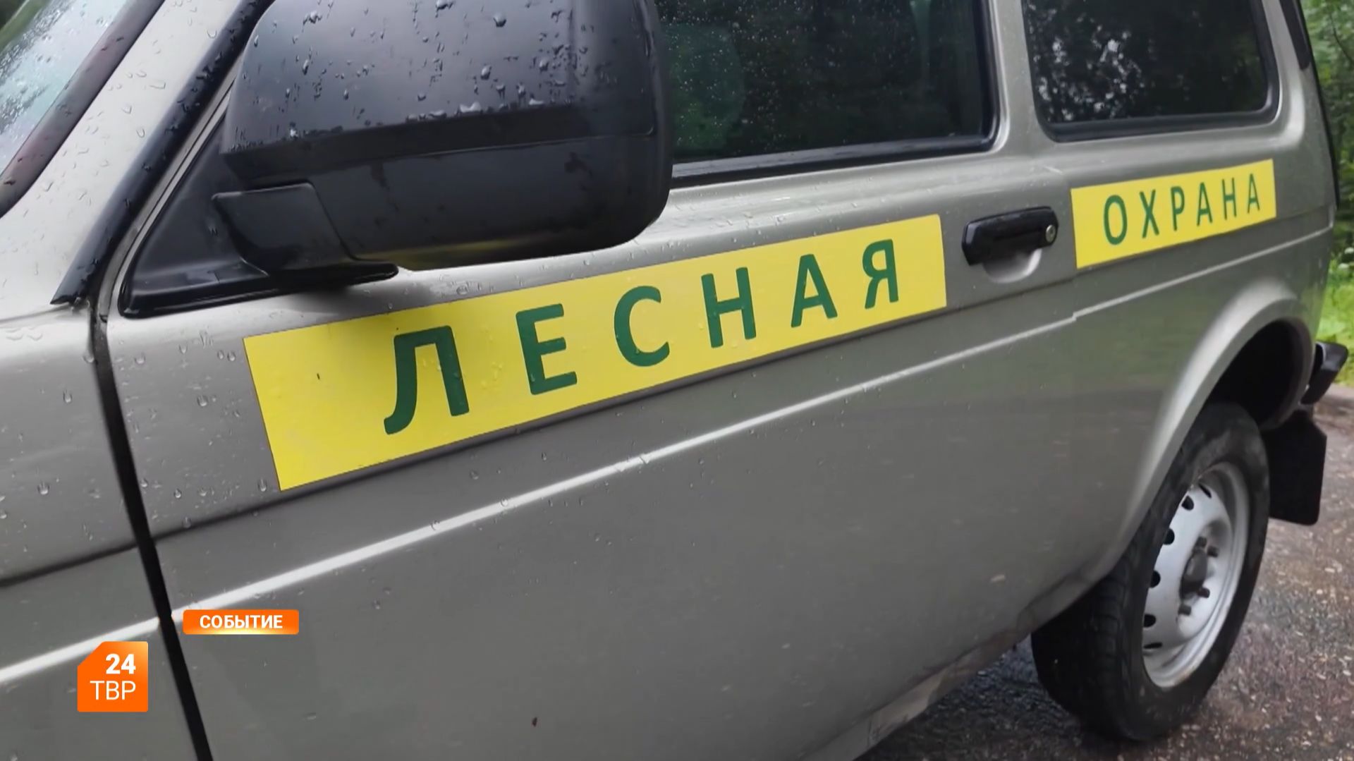 Лесная сепарация смотреть онлайн