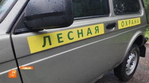 Лесная сепарация