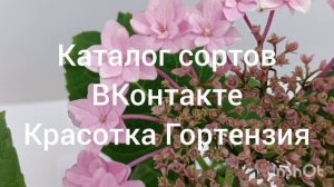 Флория
