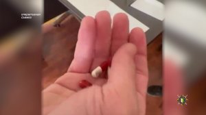 Запрещенное психотропное вещество изъяли сотрудники Цандрипшского отдела милиции.