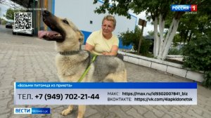 Возьми питомца из приюта. Дита