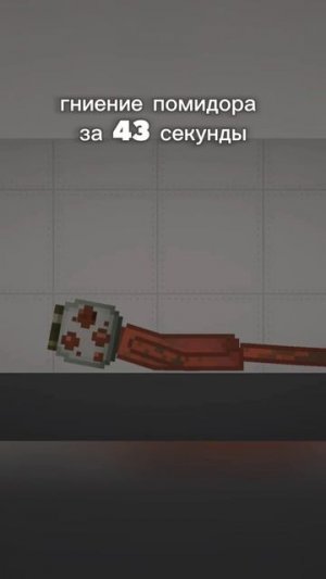 гниение помидора