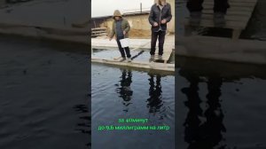 тест оксигенатор в бассейне проточного типа на форелевом хозяйстве.
