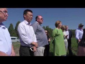 Китайский инвестор в Чувашии: Порецкое. Без комментариев, в полях, 1 часть