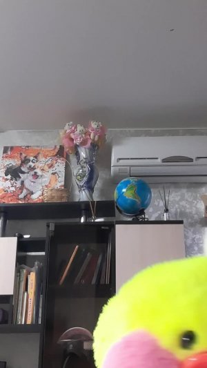 делаю вещи с асей (утка лалафанфан) и отвечаю на ваши вопросы