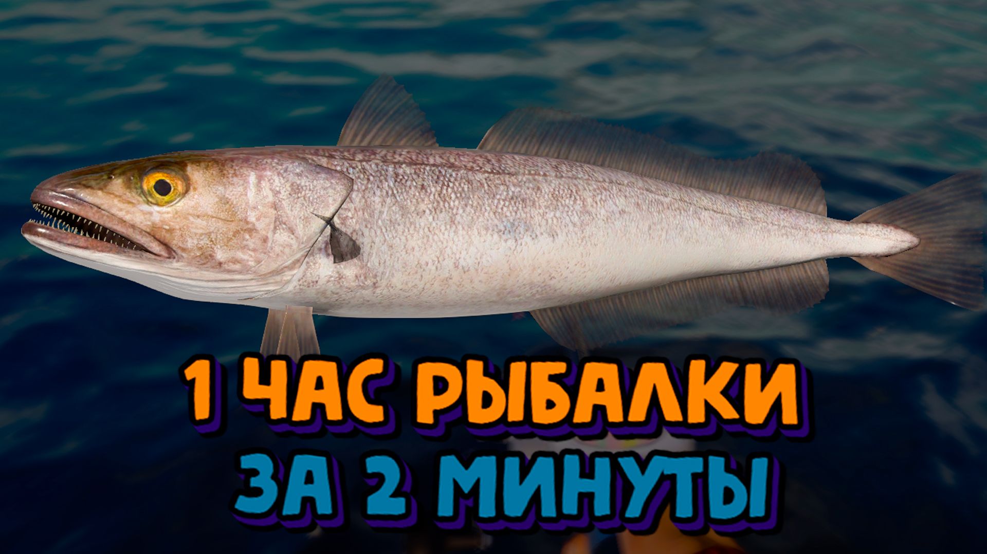 Что поймал? Норвежское Море "перчики" 41 Банка. Русская Рыбалка 4. РР4