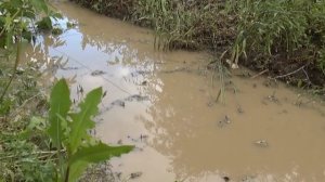 Водоотвод от дороги направил дождевой поток к домам, жалуются жители ул.Кошевого