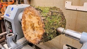 Из старого пня в новенькую вазу. Обработка по дереву АСМР
