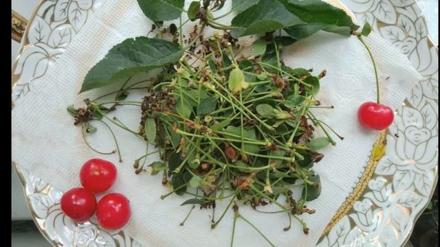 ОТЁКИ. Решение вопроса из нутри организма, с помощью народных средств и масскажа. смотреть онлайн