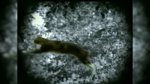 Рекламные блоки и анонсы (ОРТ, 17 июня 2001) [2160p]