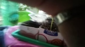 VID_20260609_144737.mp4