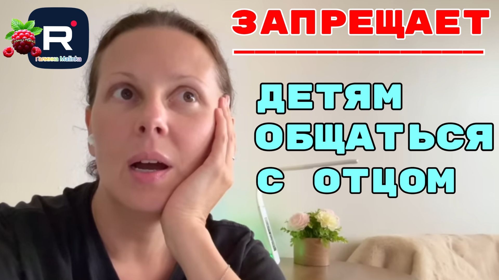 Big Big Family in the USA /Запрещает детям общаться с отцом смотреть онлайн