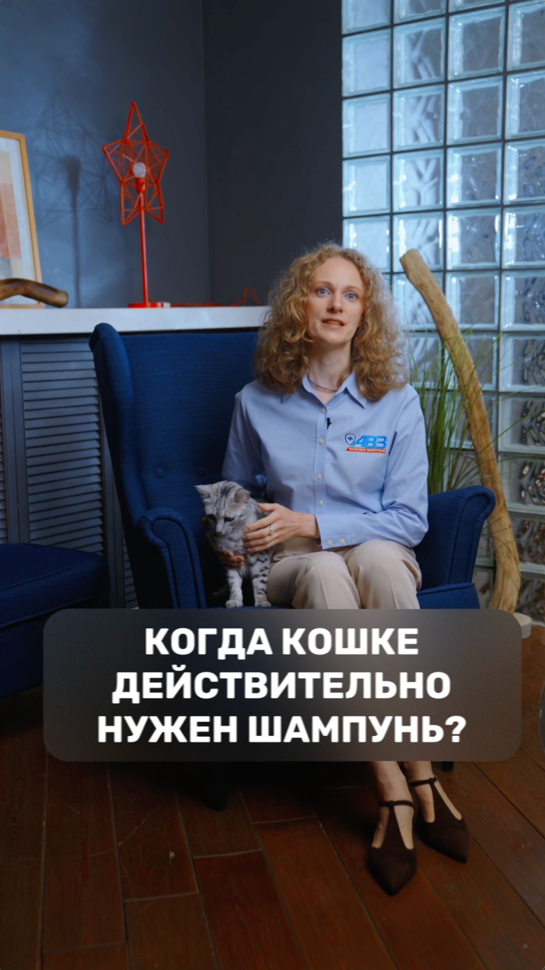 Когда кошке действительно нужен шампунь?